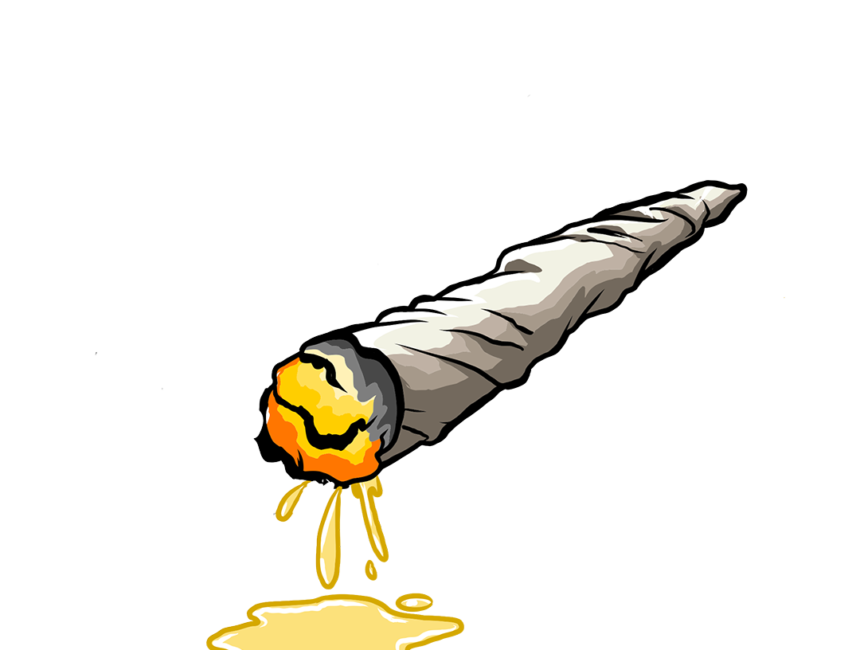 From Classics to Cultivars: A Connoisseur’s Guide to Premium Flower at Budzooka