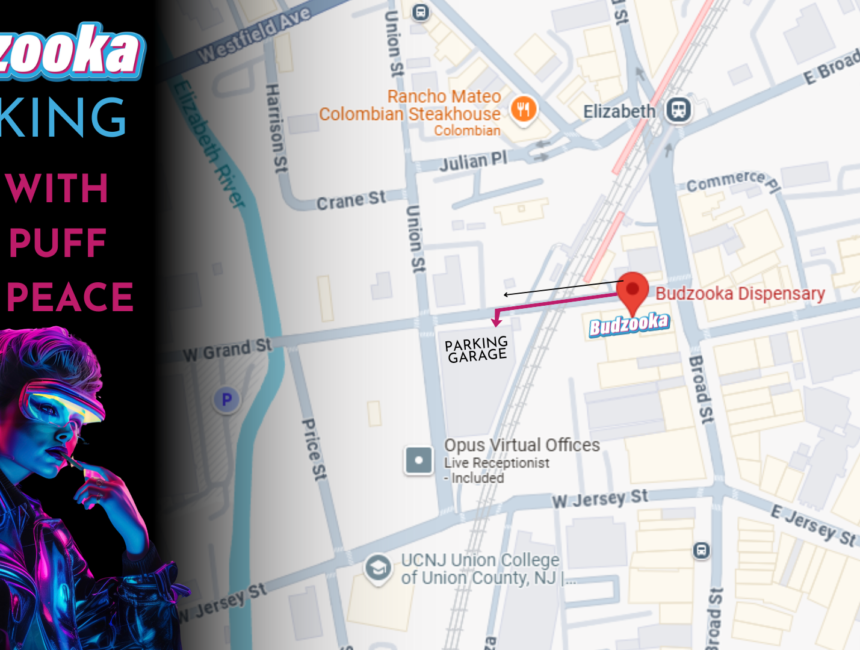 Legal Weed in Elizabeth, NJ: What Every Local Needs to Know